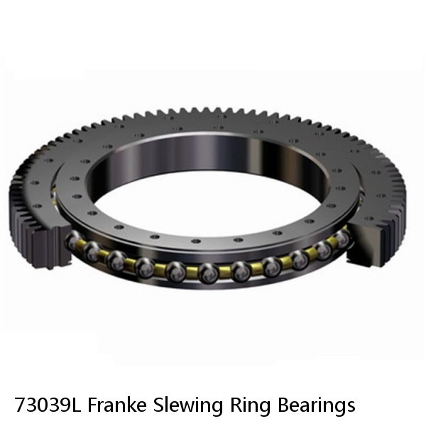 73039L Franke Slewing Ring Bearings