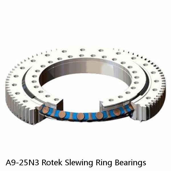 A9-25N3 Rotek Slewing Ring Bearings