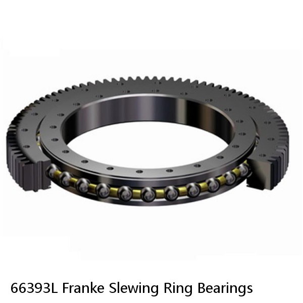 66393L Franke Slewing Ring Bearings #1 small image