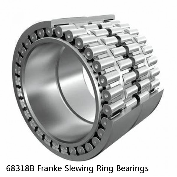 68318B Franke Slewing Ring Bearings #1 small image