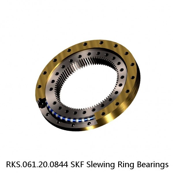 RKS.061.20.0844 SKF Slewing Ring Bearings