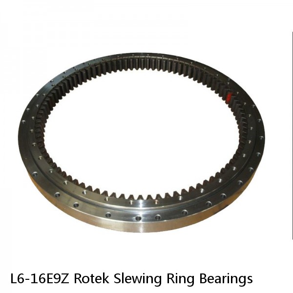 L6-16E9Z Rotek Slewing Ring Bearings #1 small image