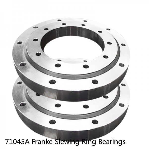 71045A Franke Slewing Ring Bearings #1 image