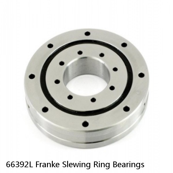 66392L Franke Slewing Ring Bearings #1 image