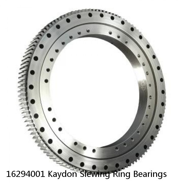 16294001 Kaydon Slewing Ring Bearings #1 image