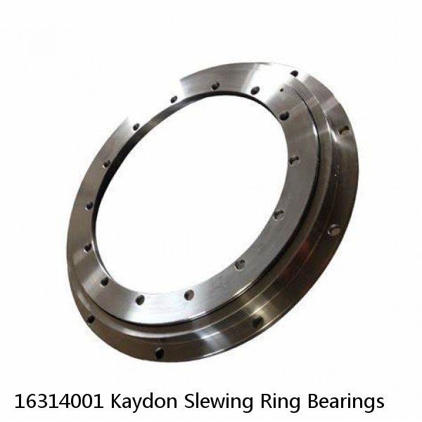 16314001 Kaydon Slewing Ring Bearings #1 image