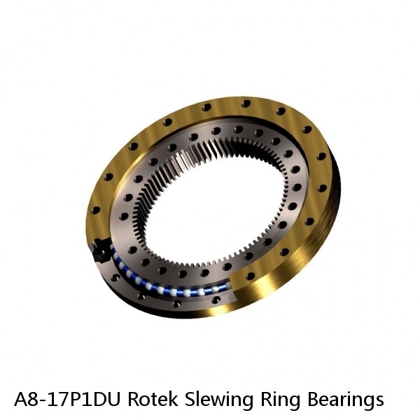 A8-17P1DU Rotek Slewing Ring Bearings #1 image