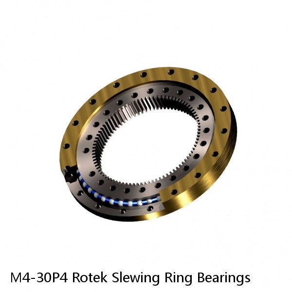 M4-30P4 Rotek Slewing Ring Bearings #1 image