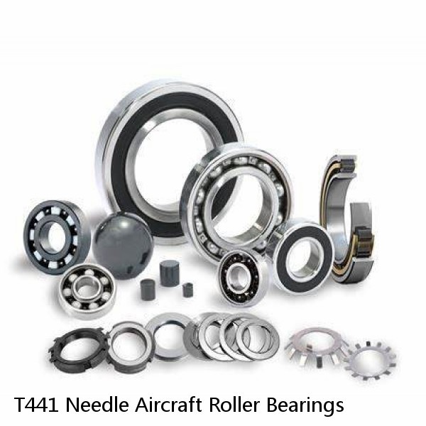 T441 Needle Aircraft Roller Bearings #1 image