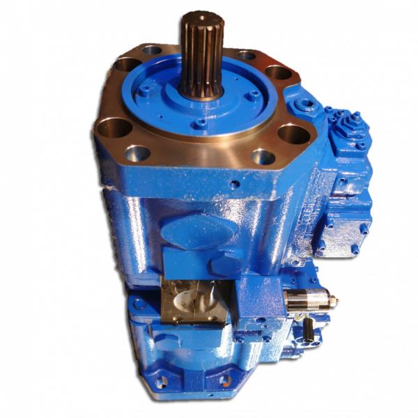 Wacher Neuson 1000103743 Hydraulic Final Drive Motor #1 image