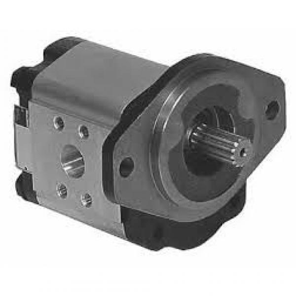 Case 645 2-spd Reman Split Pump Configuration Hydraulic Final Drive Motor #1 image